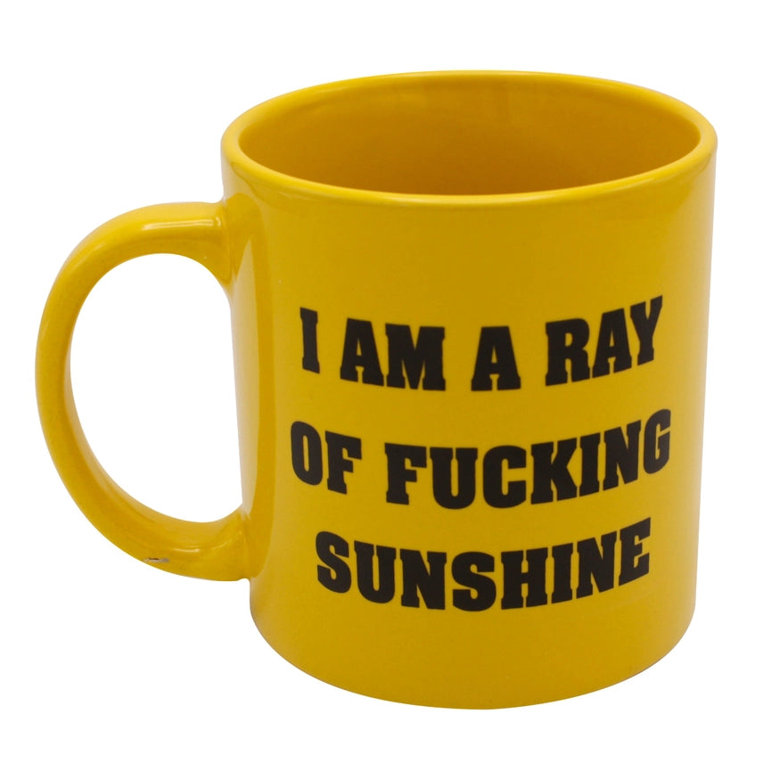 Attitude Mug I am a Ray of Fucking Sunshine 22oz