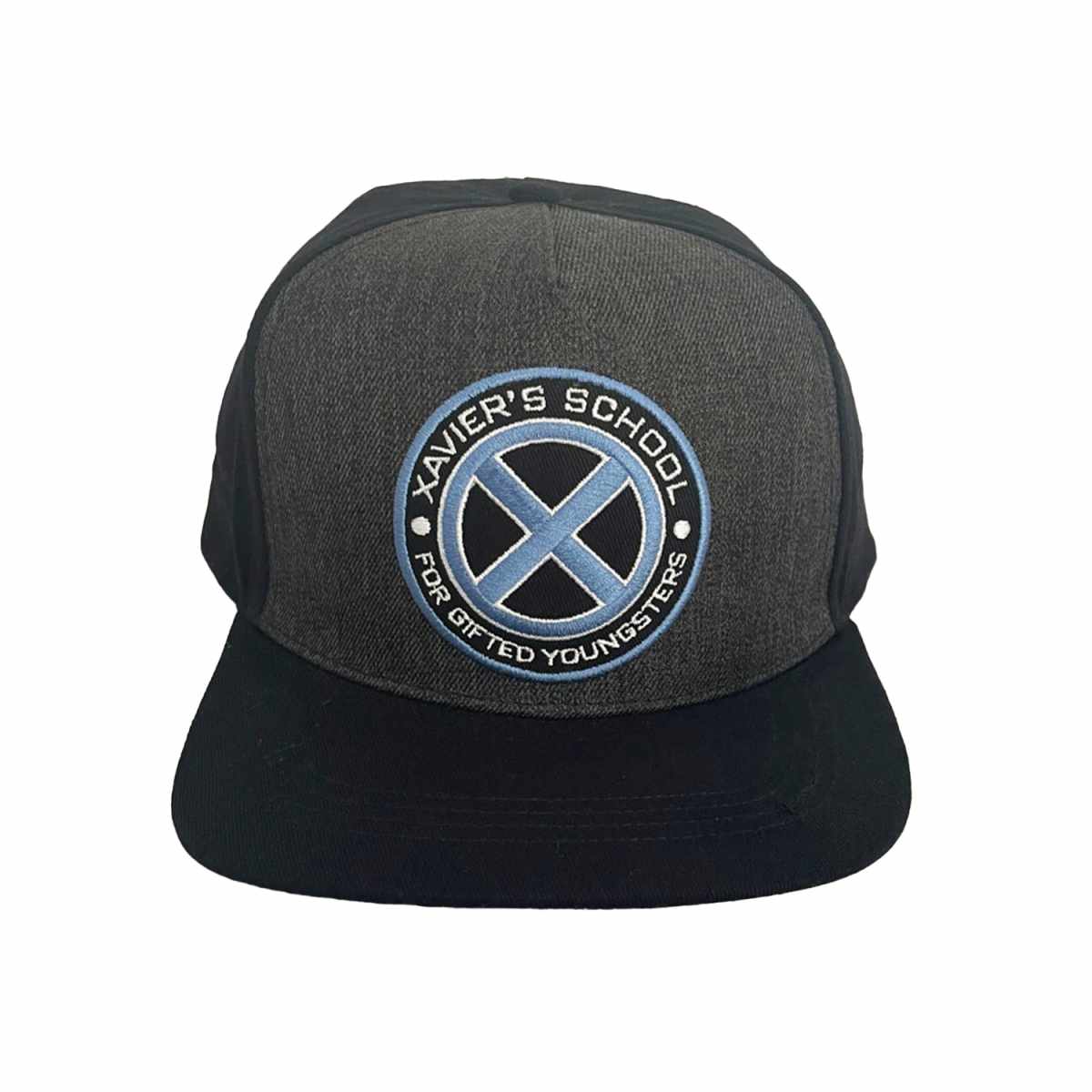 Marvel X-Men Xavier's School Dad Hat Snapback