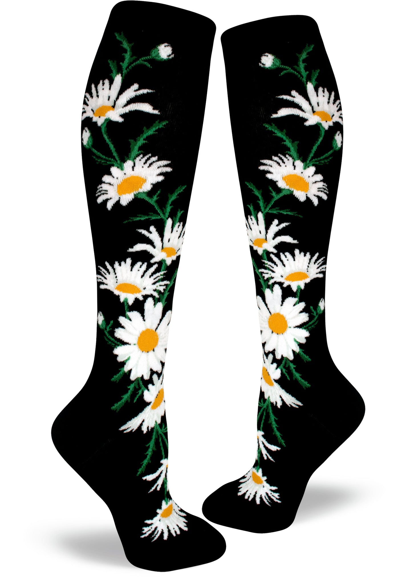 Mod Socks Crazy for Daisies Knee High – Black