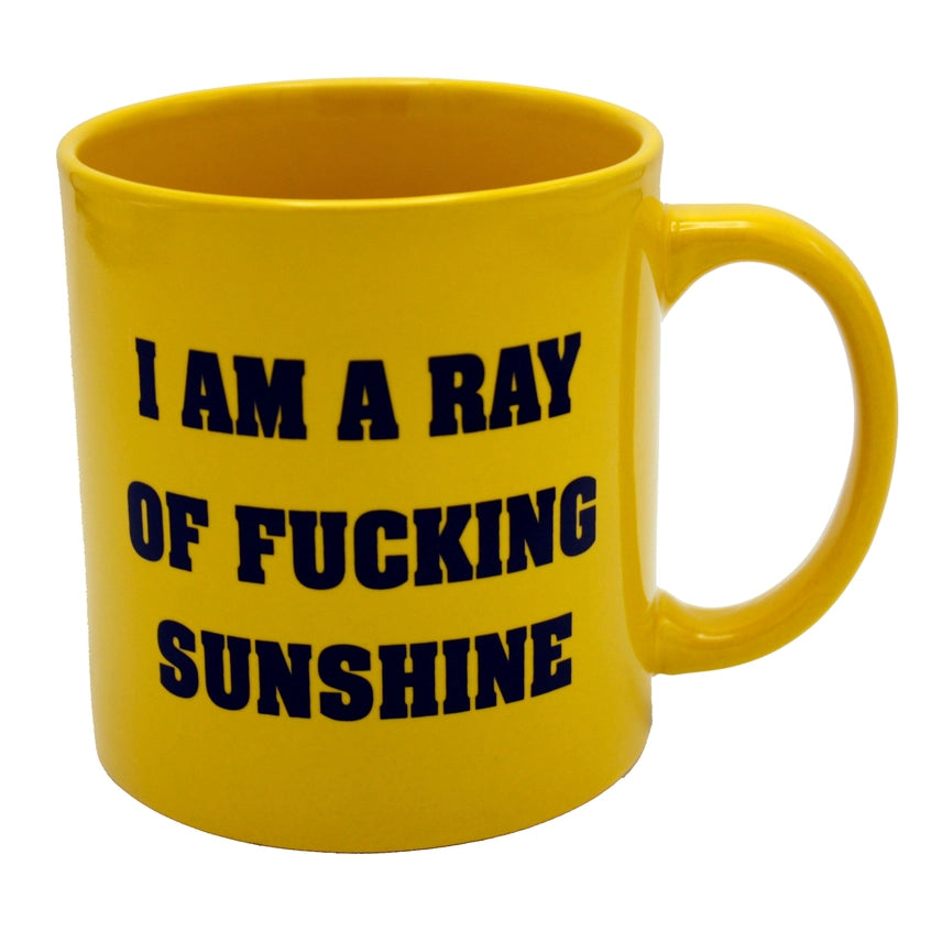 Attitude Mug I am a Ray of Fucking Sunshine 22oz