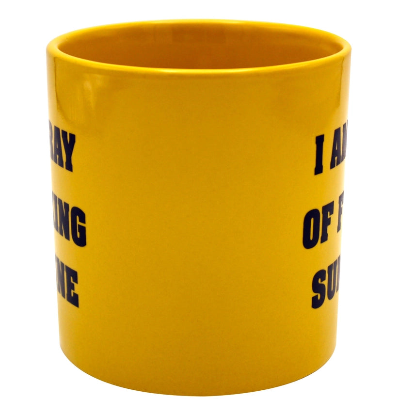 Attitude Mug I am a Ray of Fucking Sunshine 22oz